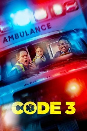 Code 3 (2025) Hindi (MULTI AUDIO) – – 1080p